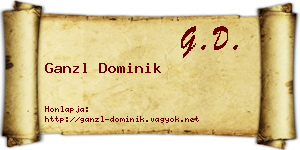Ganzl Dominik névjegykártya